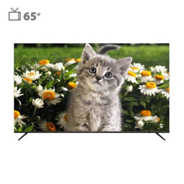 تلویزیون هوشمند دوو 65 اینچ مدل DSL-65SU1870