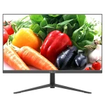 مانیتور میوا 24 اینچ مدل 24HM2FVY-A3