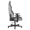 صندلی گیمینگ دی ایکس ریسر مدل Drifting 2025 L Fabric Gray - تصویر 4