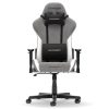 صندلی گیمینگ دی ایکس ریسر مدل Formula 2025 L Fabric Gray