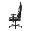 صندلی گیمینگ دی ایکس ریسر مدل Drifting 2025 L Black White - تصویر 2