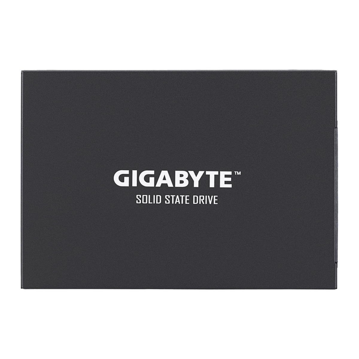 33-17-52-1 SSD اینترنال گیگابایت مدل GP-GSTFS31100TNTD ظرفیت 1 ترابایت - تصویر 1