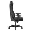 صندلی گیمینگ دی ایکس ریسر مدل  Master 2025 XL Black Line - تصویر 3