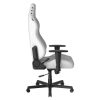 صندلی گیمینگ دی ایکس ریسر مدل Drifting 2025 L White - تصویر 3