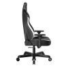 صندلی گیمینگ دی ایکس ریسر مدل Tank Series 2025 Black White - تصویر 3