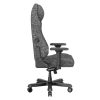 صندلی گیمینگ دی ایکس ریسر مدل Master 2025 XL Fabric Gray - تصویر 3
