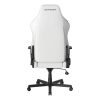 صندلی گیمینگ دی ایکس ریسر مدل Drifting 2025 L White - تصویر 5