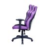 صندلی گیمینگ کولرمستر مدل GCE1 PURPLE BLACK - تصویر 2