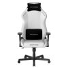 صندلی گیمینگ دی ایکس ریسر مدل Drifting 2025 L White