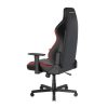 صندلی گیمینگ دی ایکس ریسر مدل Drifting 2025 L Black Red - تصویر 2