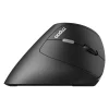 ماوس بی‌سیم رپو مدل EV250 - تصویر 2