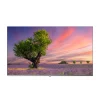 تلویزیون هوشمند جی پلاس 50 اینچ مدل GTV-50SU789N - تصویر 2