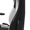 صندلی گیمینگ دی ایکس ریسر مدل Prince P132 2025 Black White - تصویر 5