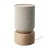 اسپیکر بلوتوثی بنگ اند آلفسن مدل Beosound Balance - تصویر 6